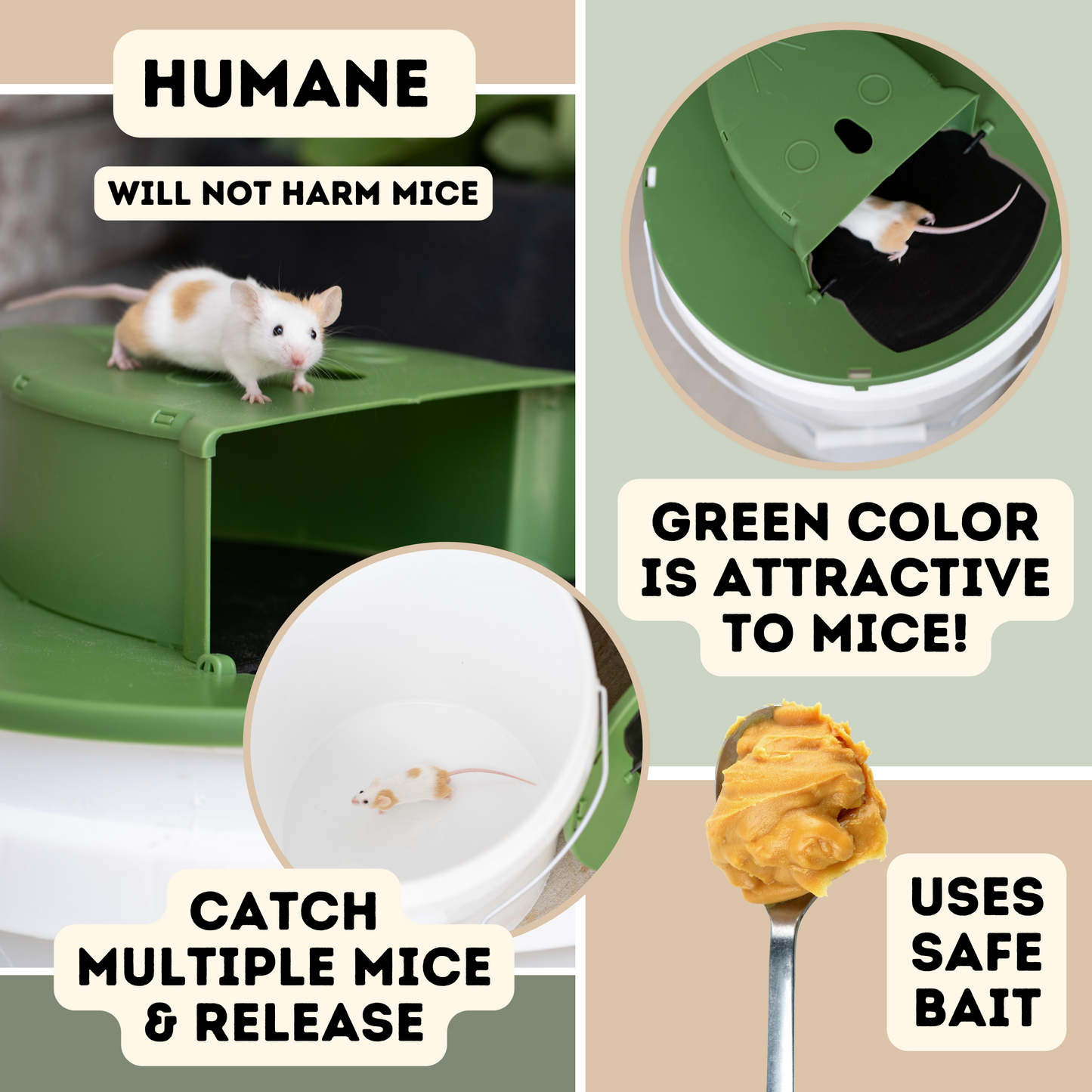 3-pack Bucket Lid Mousetrap Bucket Mouse Trap | Humane and Pet Safe